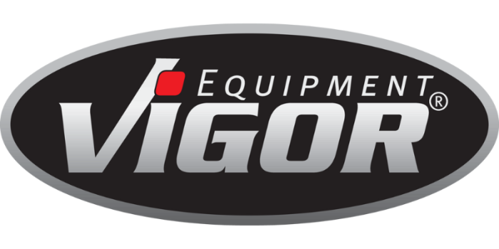 vigor_2022-1